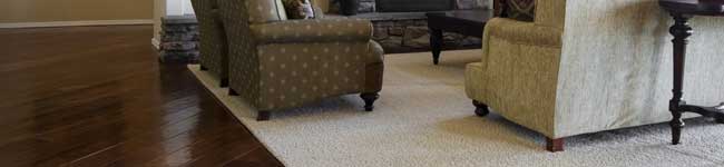 Area Rug Cleaning Services in Ashburn VA