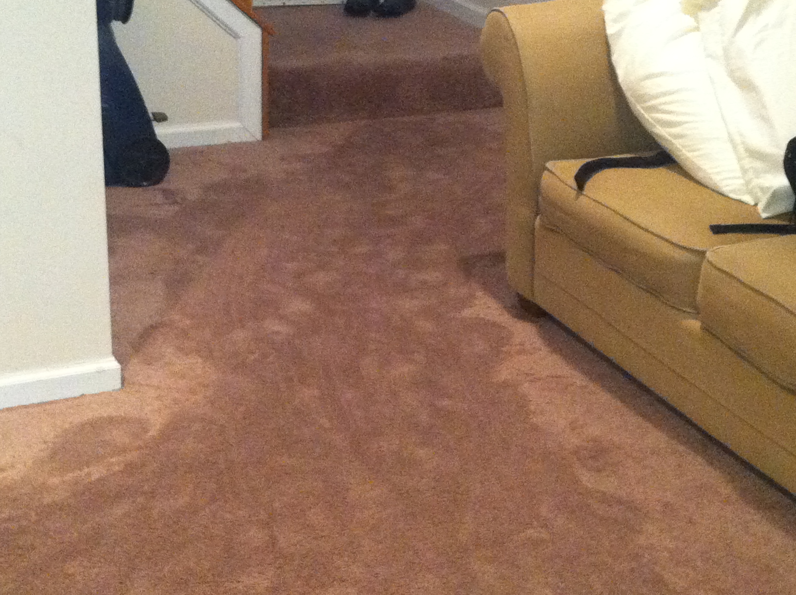 Water Damaged Carpet- Restoration Services by Carpet Keepers