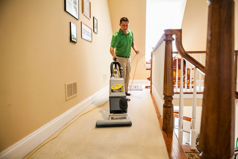 Vacuum Carpets Regularly