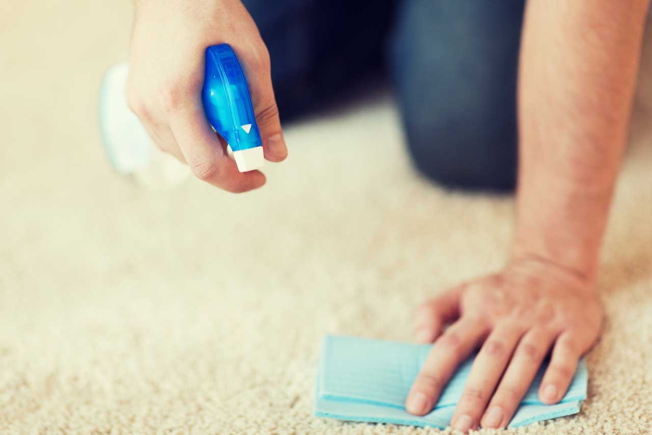 Pet Stains on carpet - Carpet Keepers can help